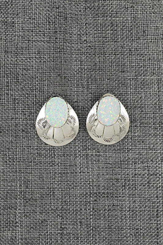Opalite & Sterling Silver Earrings - Brenda Bahe