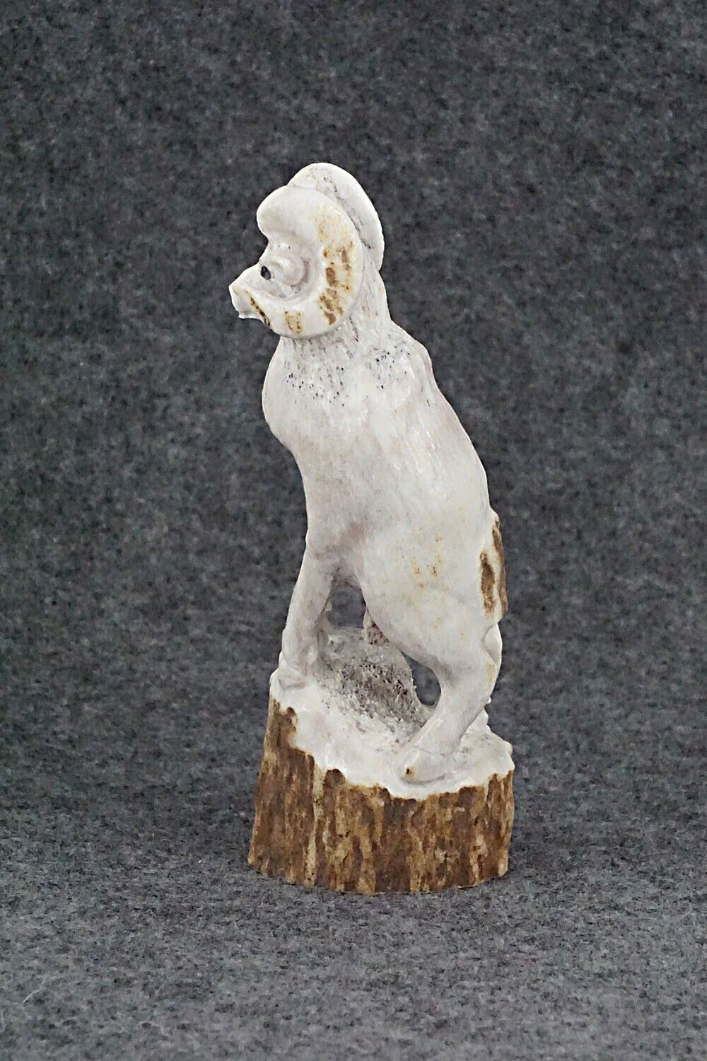 Ram Zuni Fetish Carving - Maxx Laate