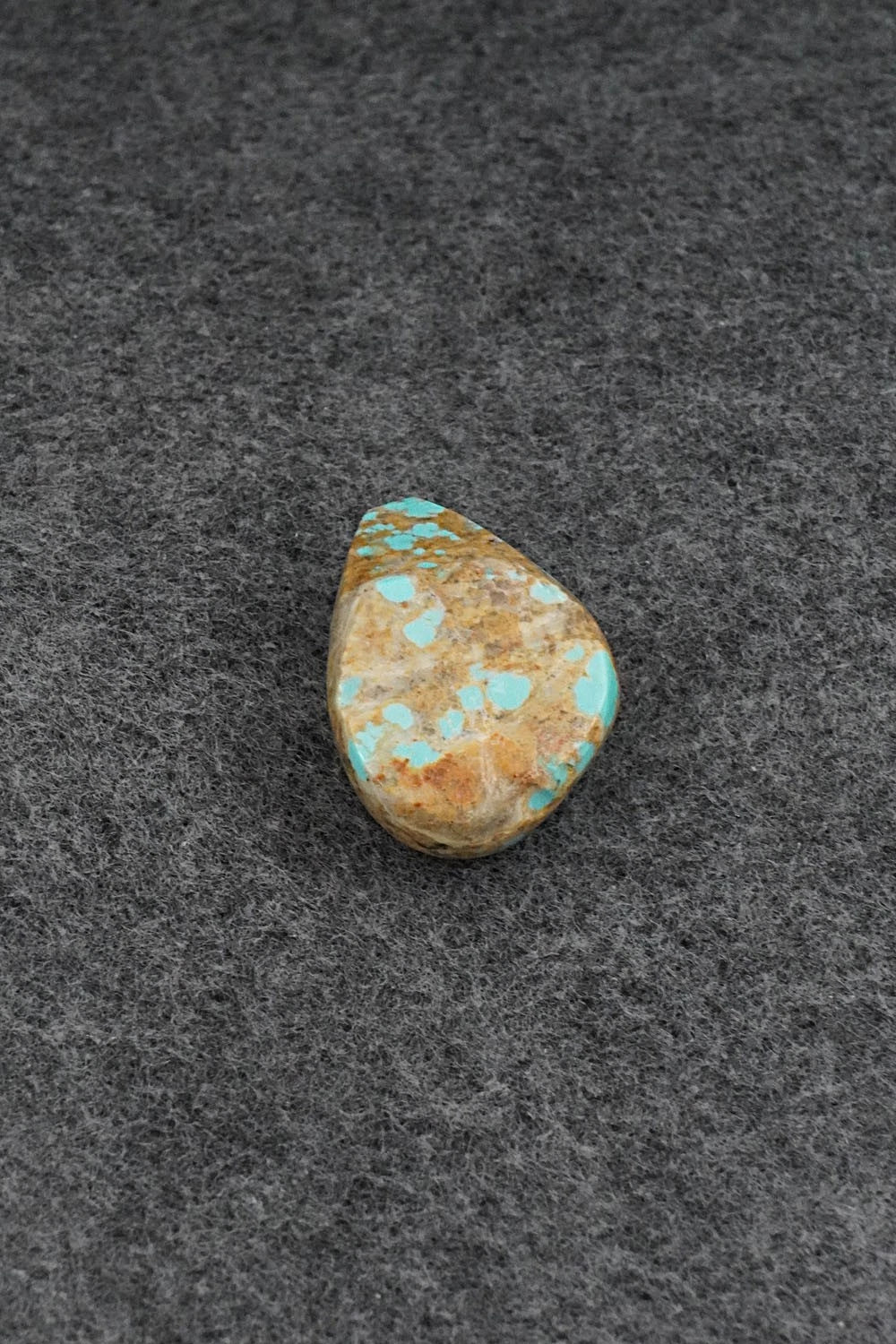 Bear Zuni Fetish Carving - Abby Quam Panteah