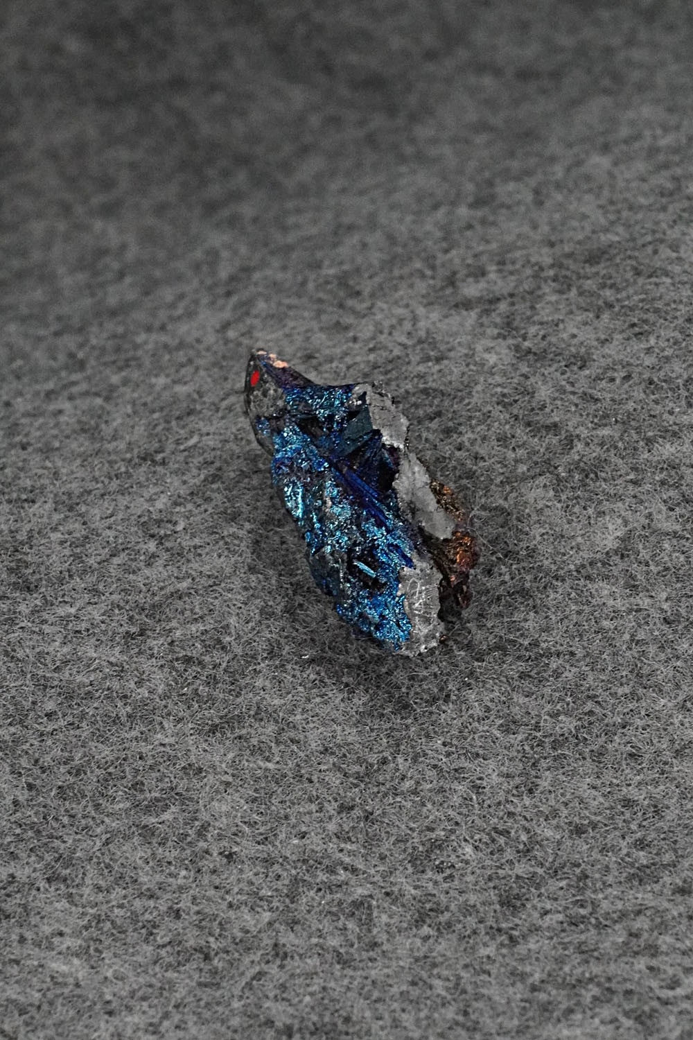 Eagle Zuni Fetish Carving - Abby Quam Panteah