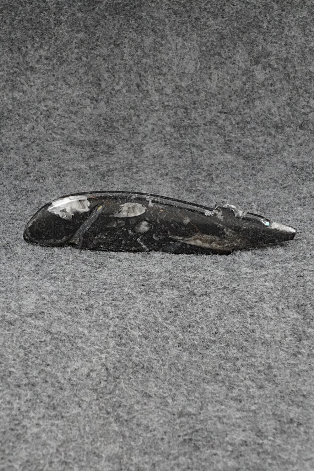 Wolf Zuni Fetish Carving - Abby Quam Panteah