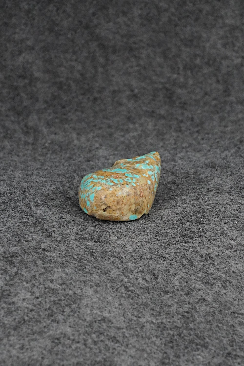 Bear Zuni Fetish Carving - Abby Quam Panteah