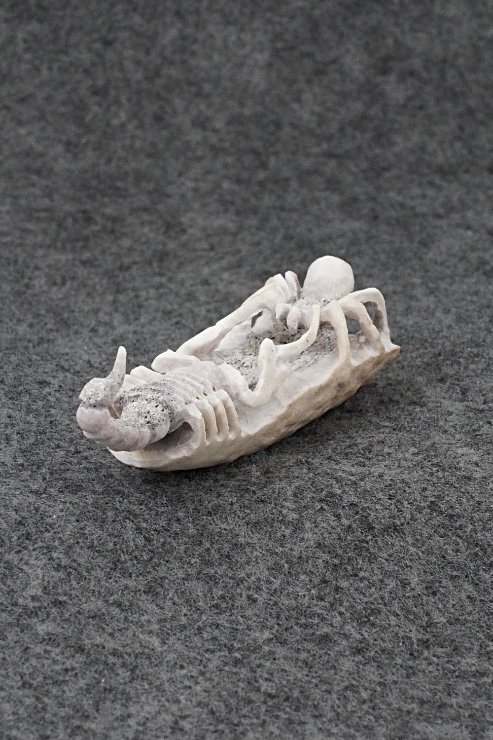 Spider & Scorpion Zuni Fetish Carving - Lewis Malie