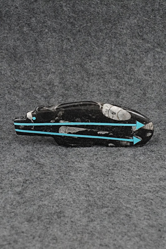 Bear Zuni Fetish Carving - Bernard Laiwakete