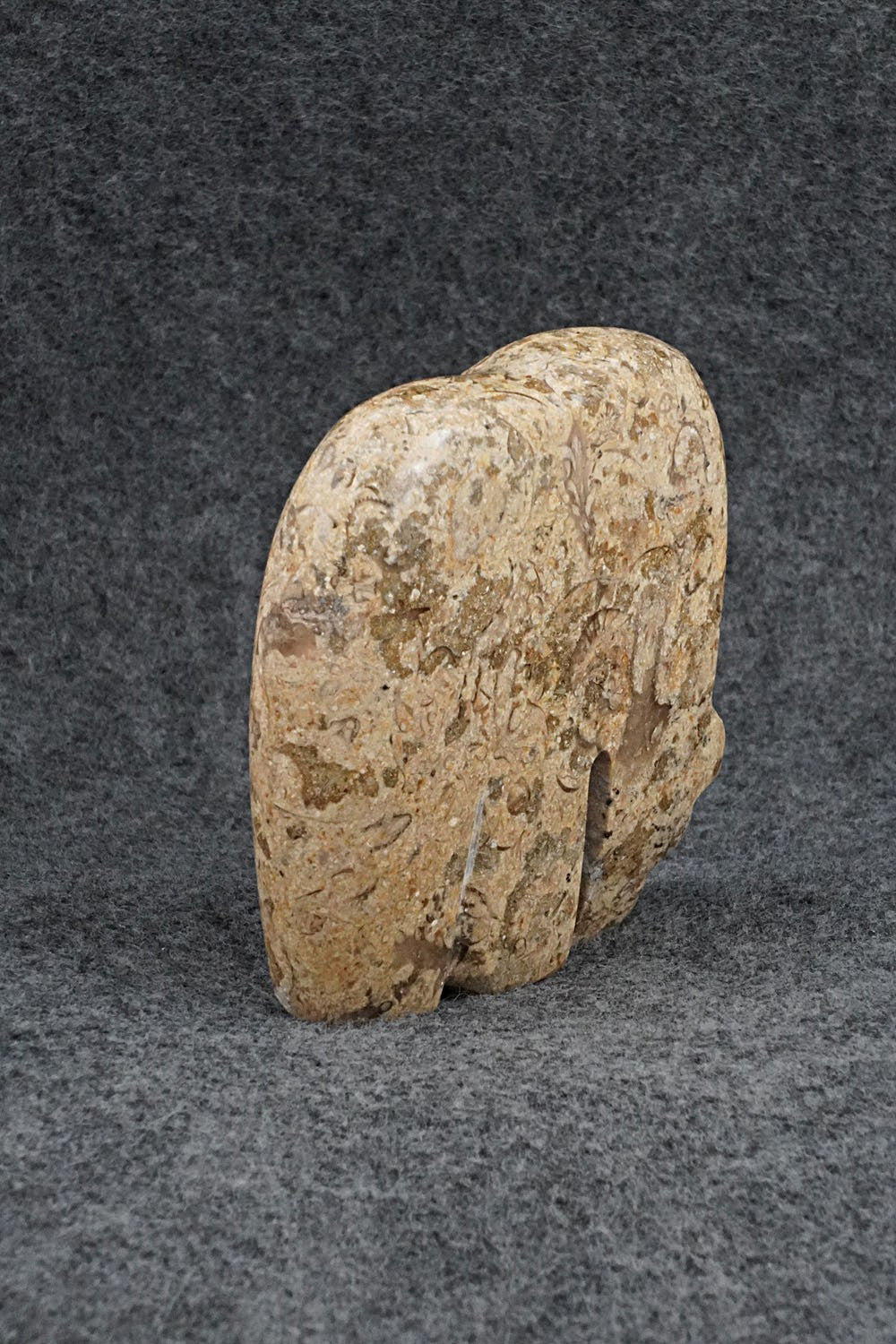 Bear Zuni Fetish Carving - Bernard Laiwakete