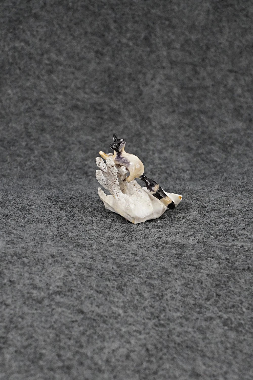 Raccoon Zuni Fetish Carving - Ruben Najera