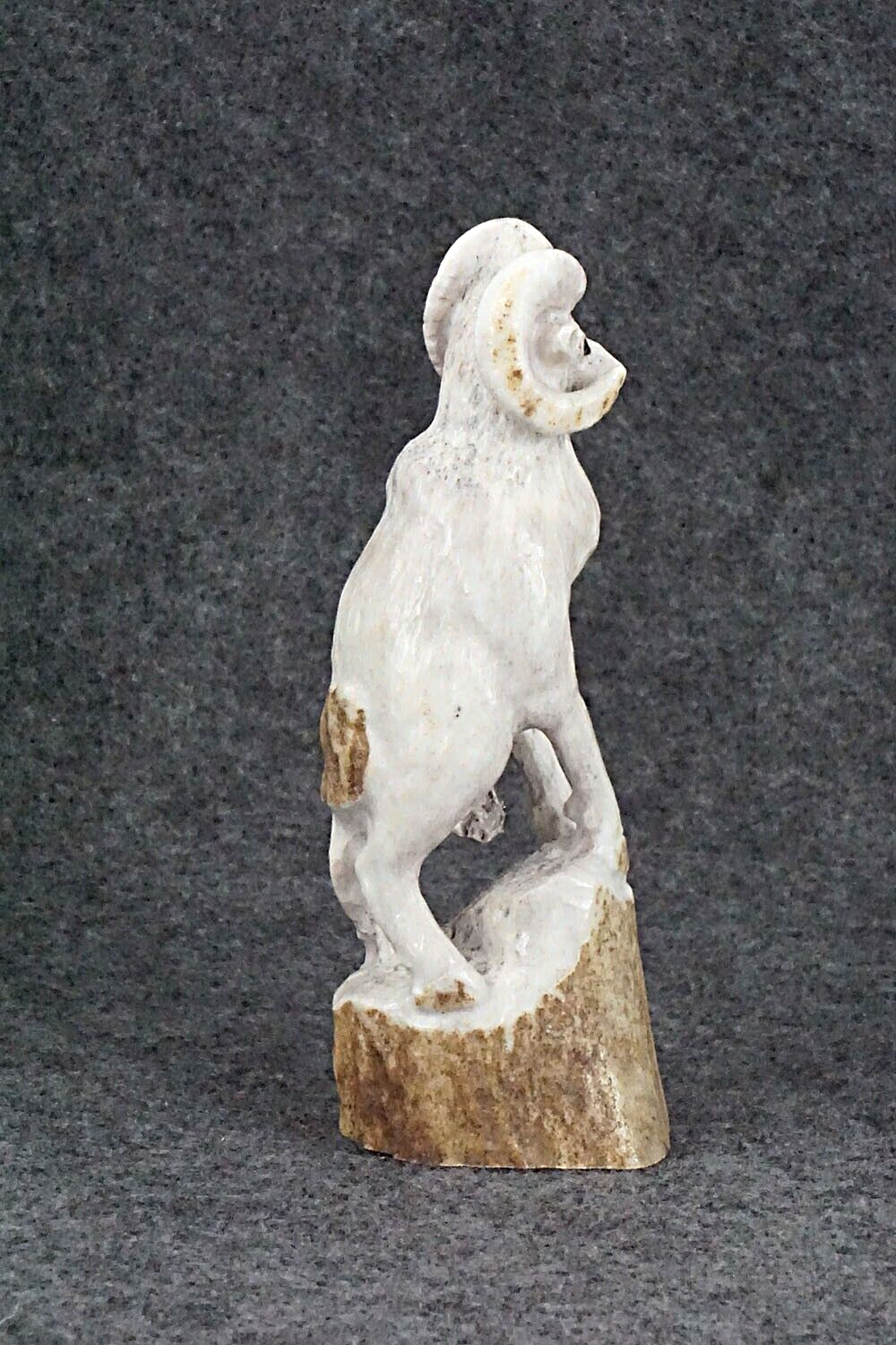 Ram Zuni Fetish Carving - Maxx Laate