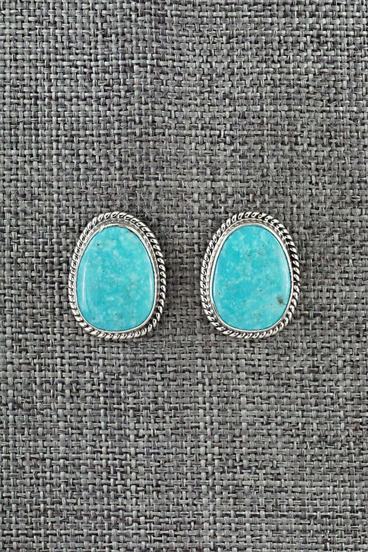 Turquoise & Sterling Silver Earrings - Sharon McCarthy
