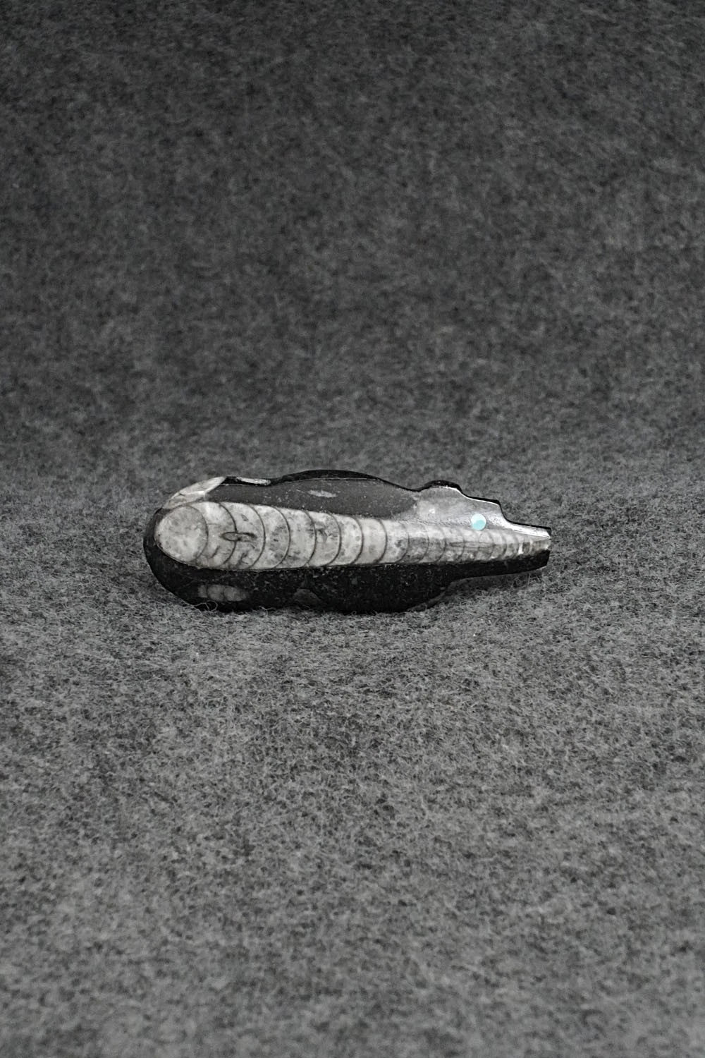 Bear Zuni Fetish Carving - Bernard Laiwakete