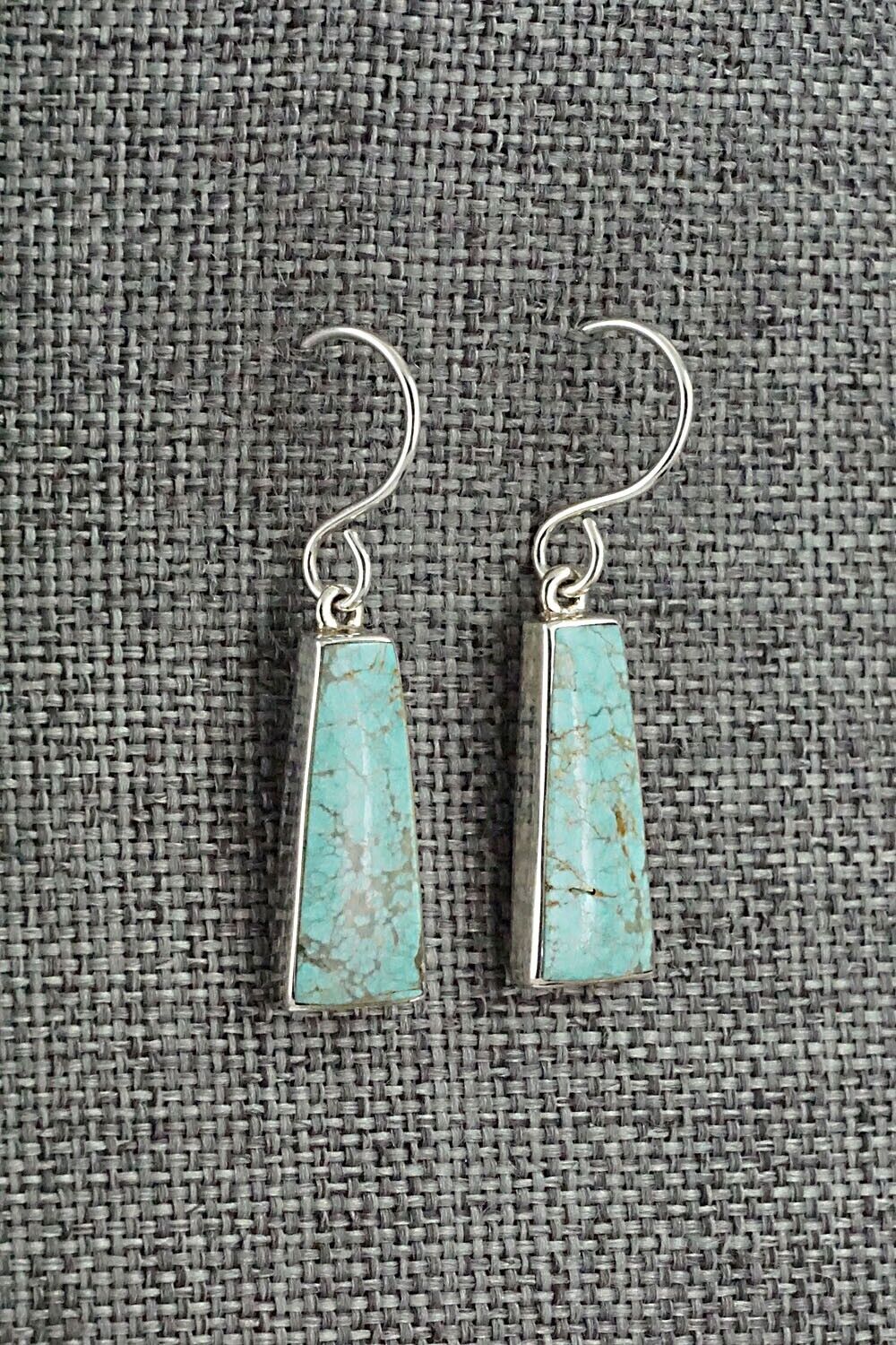 Turquoise & Sterling Silver Earrings - Cathy Webster