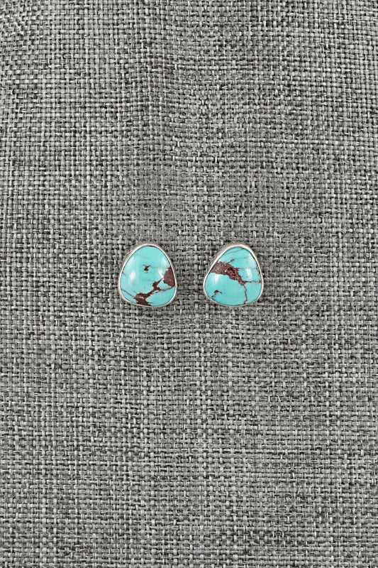 Turquoise & Sterling Silver Earrings - Eugene Gruber