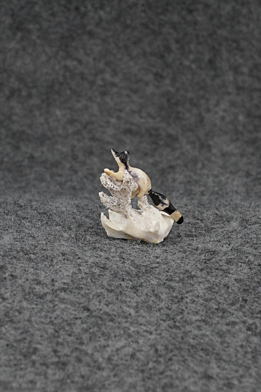 Raccoon Zuni Fetish Carving - Ruben Najera