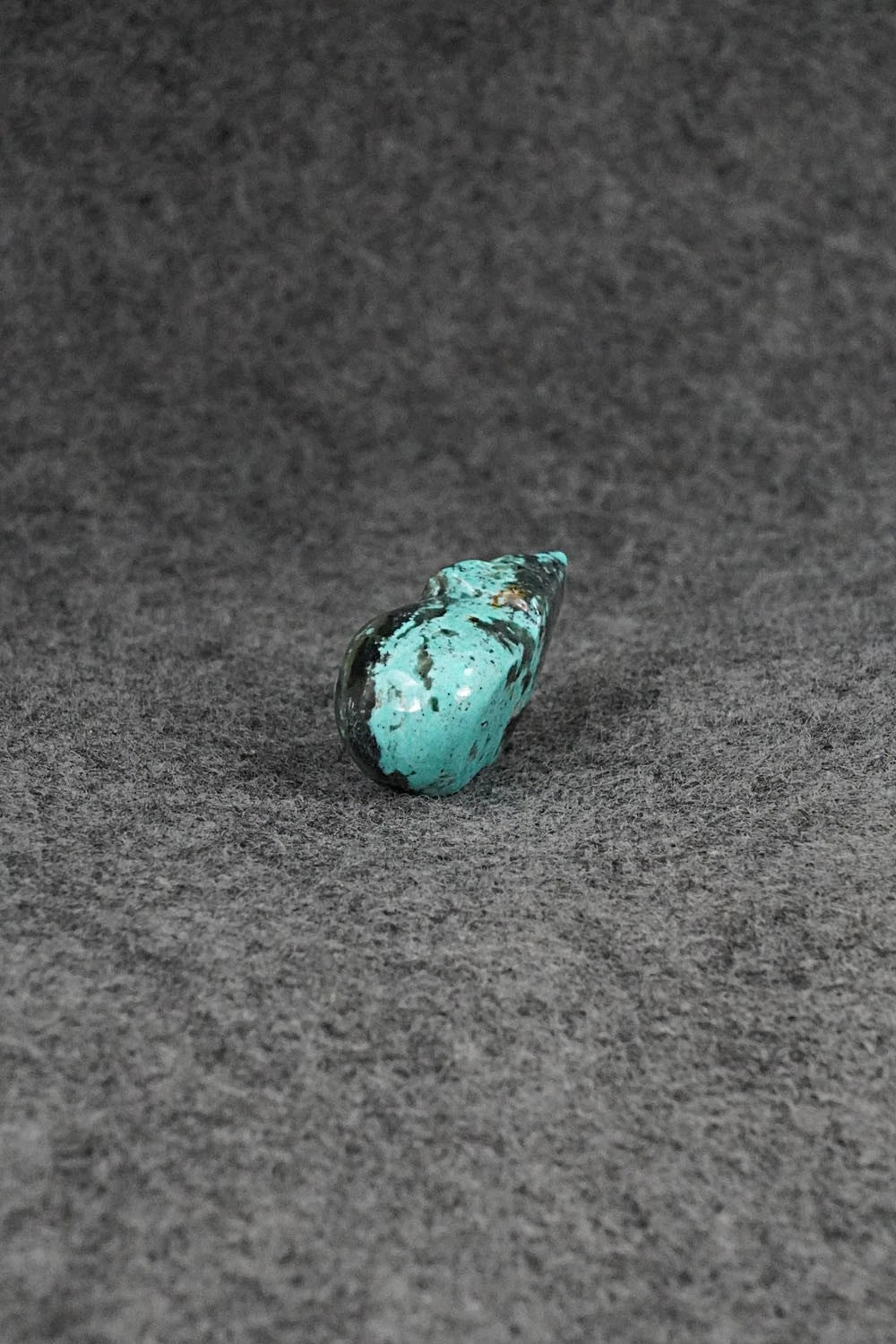 Bear Zuni Fetish Carving - Abby Panteah Quam