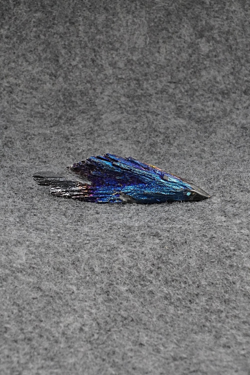 Porcupine Zuni Fetish Carving - Abby Quam Panteah