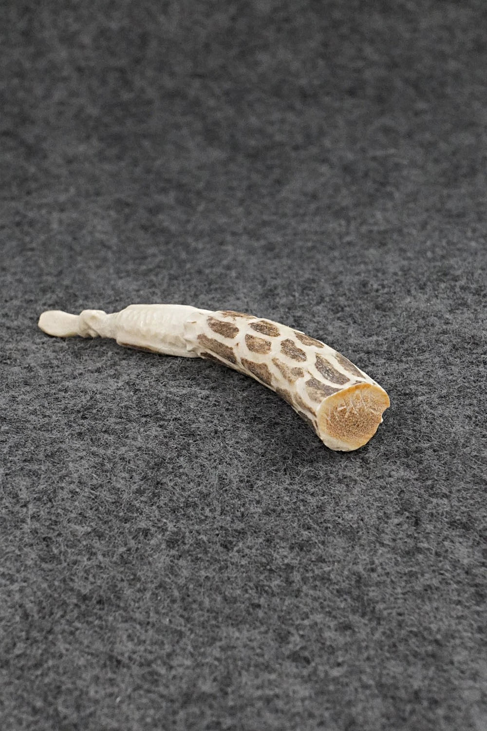 Quail Zuni Fetish Carving - Maxx Laate
