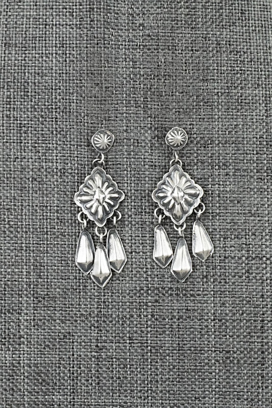 Sterling Silver Earrings - Terry Charlie