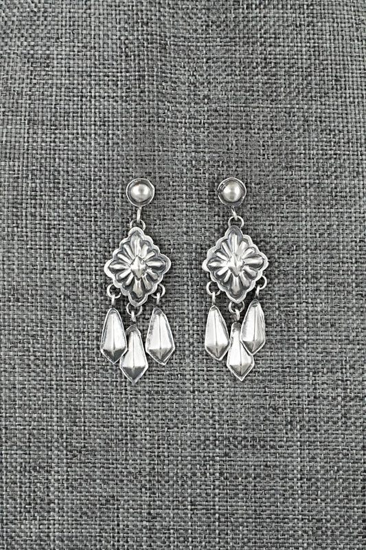 Sterling Silver Earrings - Terry Charlie