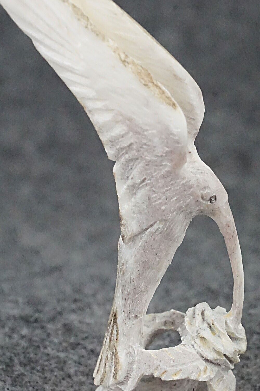 Hummingbird Zuni Fetish Carving - Lewis Malie Jr.