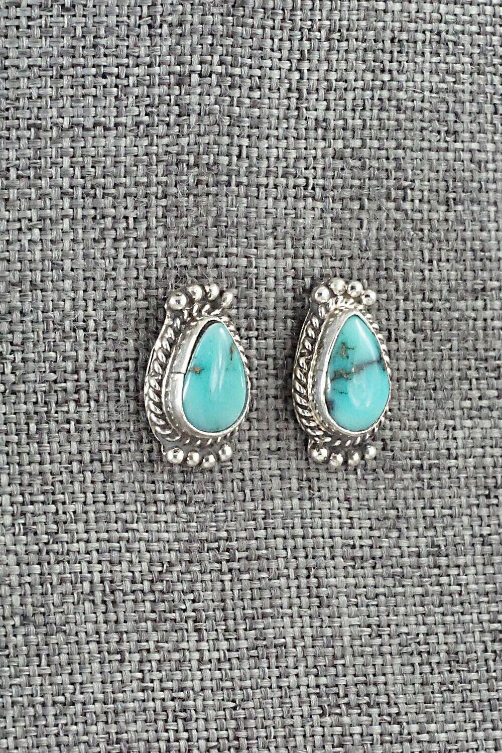 Turquoise & Sterling Silver Earrings - Jan Mariano