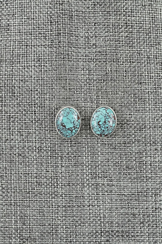 Turquoise & Sterling Silver Earrings - Eugene Gruber