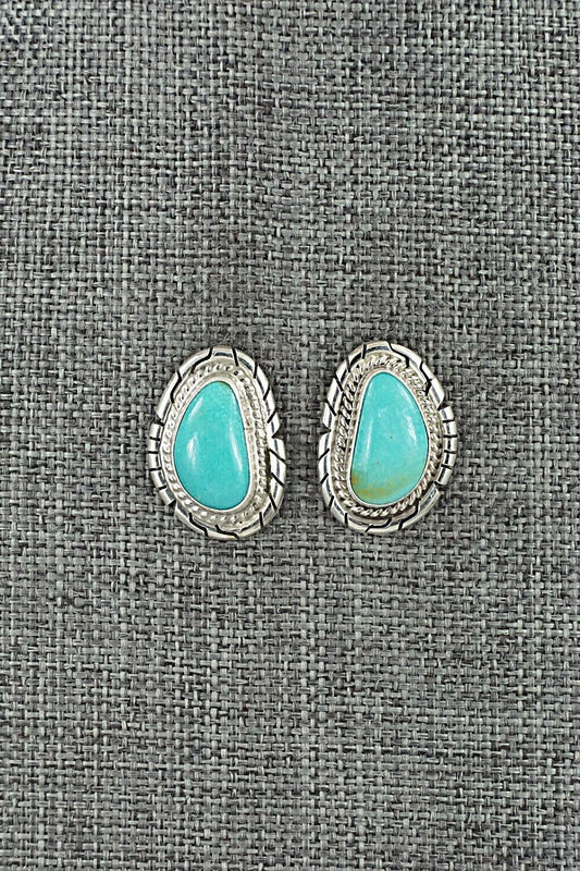 Turquoise & Sterling Silver Earrings - Peggy Skeets