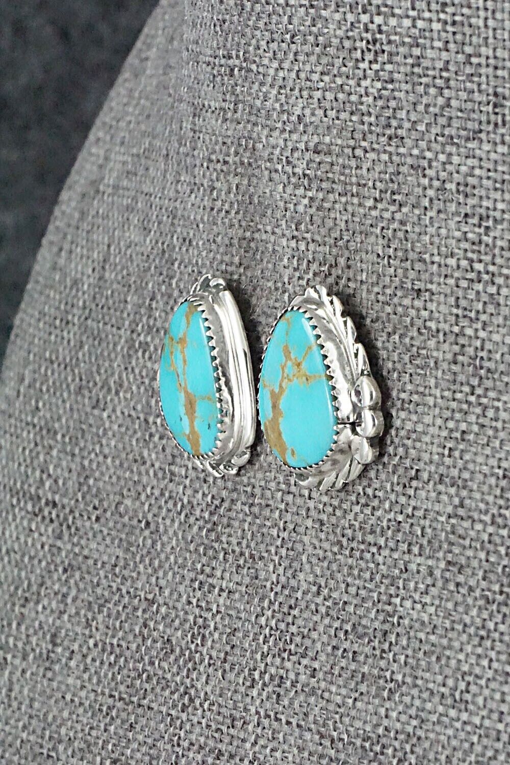 Turquoise and Sterling Silver Earrings - Delores Cadman