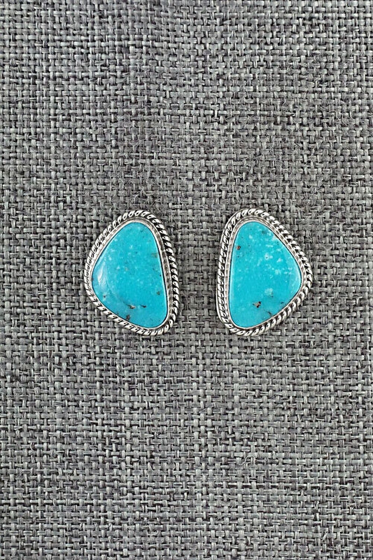 Turquoise & Sterling Silver Earrings - Sharon McCarthy