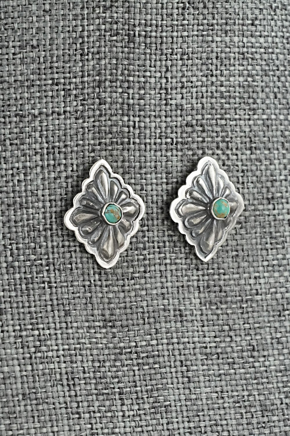 Turquoise & Sterling Silver Earrings - Terry Charlie