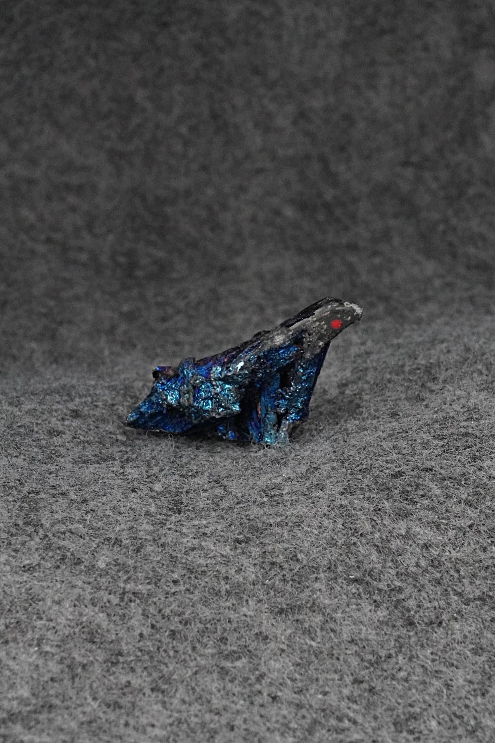 Eagle Zuni Fetish Carving - Abby Quam Panteah