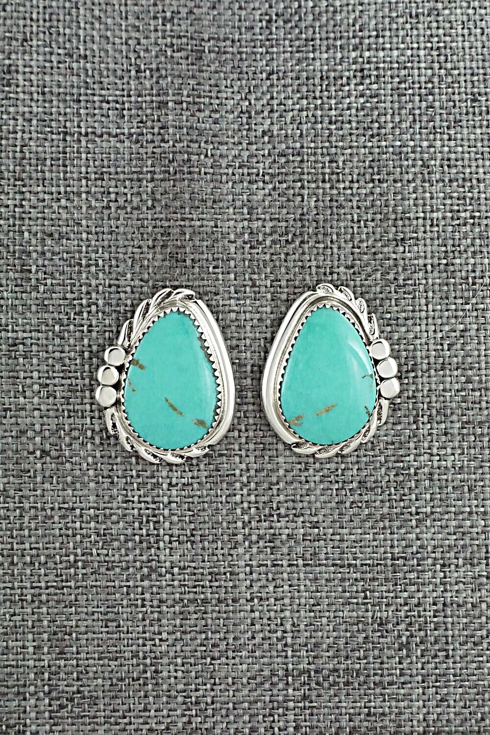 Turquoise and Sterling Silver Earrings - Delores Cadman