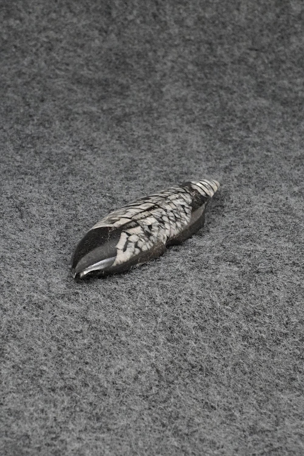 Mole Zuni Fetish Carving - Abby Quam Panteah