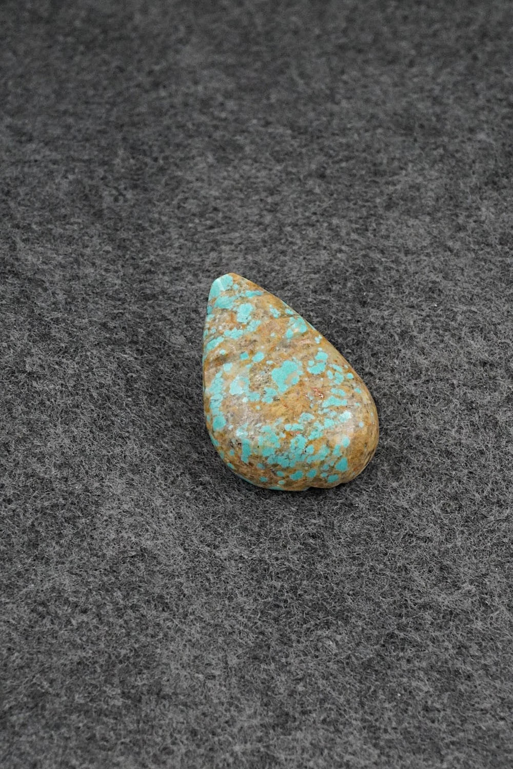 Bear Zuni Fetish Carving - Abby Quam Panteah