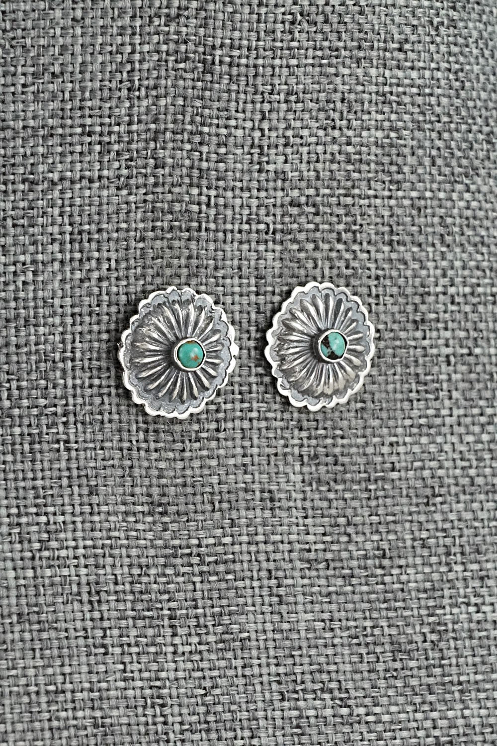 Turquoise & Sterling Silver Earrings - Terry Charlie