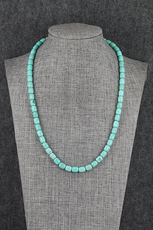 Turquoise & Sterling Silver Necklace 18" - Doreen Jake