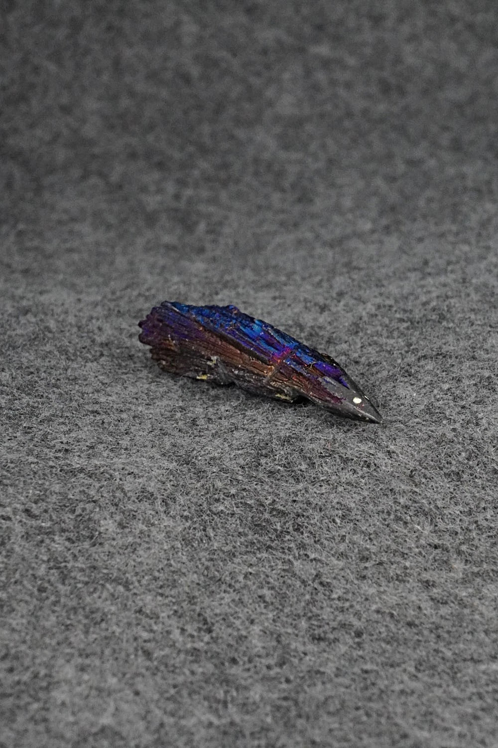 Porcupine Zuni Fetish Carving - Abby Panteah Quam