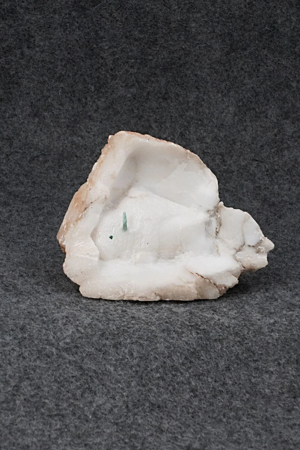 Buffalo Navajo Fetish Carving - Ron Goodluck