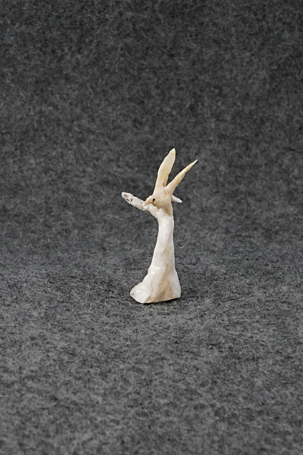 Eagle Zuni Fetish Carving - Ruben Najera