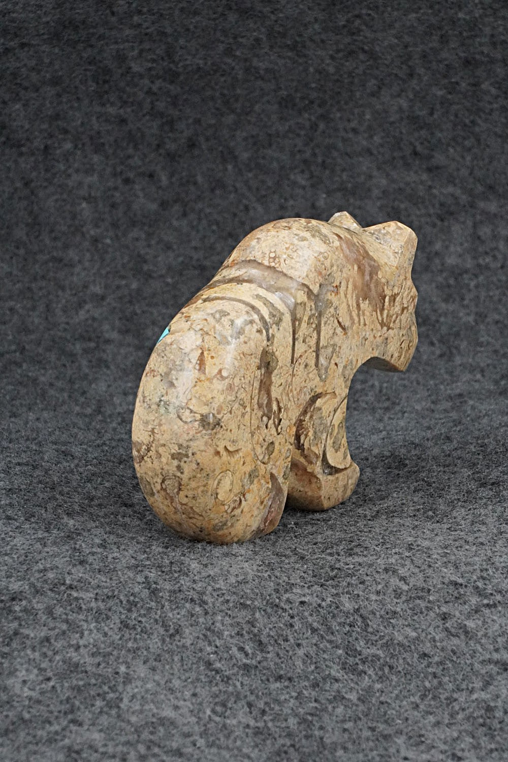 Bear Zuni Fetish Carving - Kenric Laiwakete