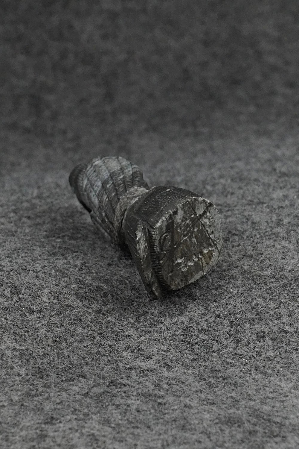 Eagle Zuni Fetish Carving - Colin Weeka