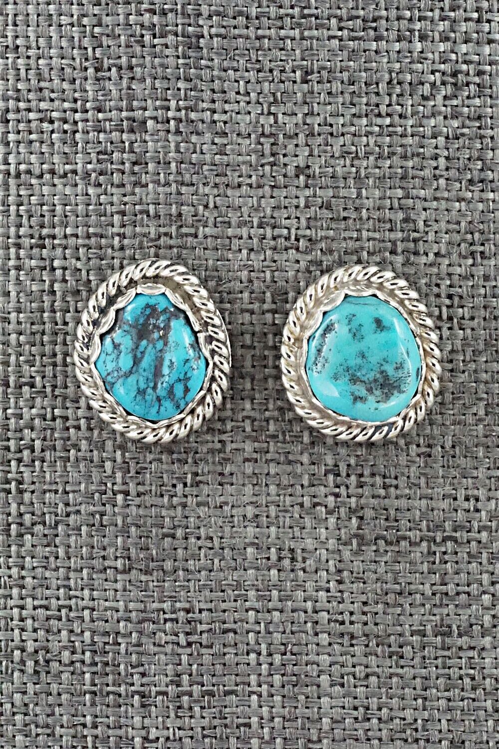 Turquoise & Sterling Silver Earrings - Isabelle John