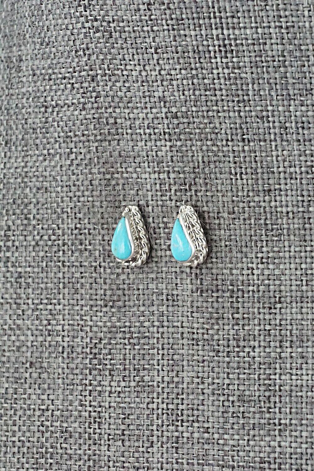 Turquoise & Sterling Silver Earrings - Gina Dosedo