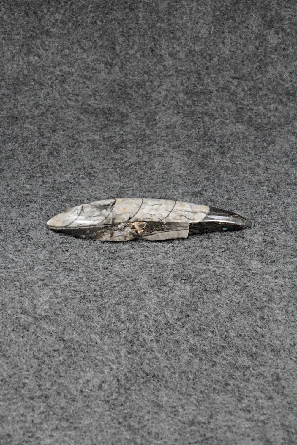 Mole Zuni Fetish Carving - Abby Quam Panteah