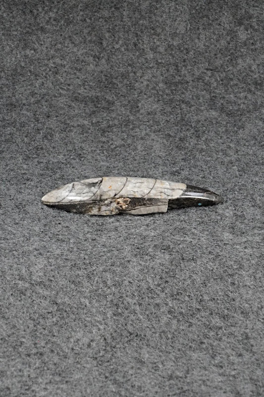 Mole Zuni Fetish Carving - Abby Quam Panteah