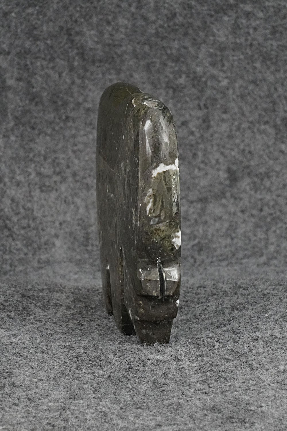 Bear Zuni Fetish Carving - Bernard Laiwakete