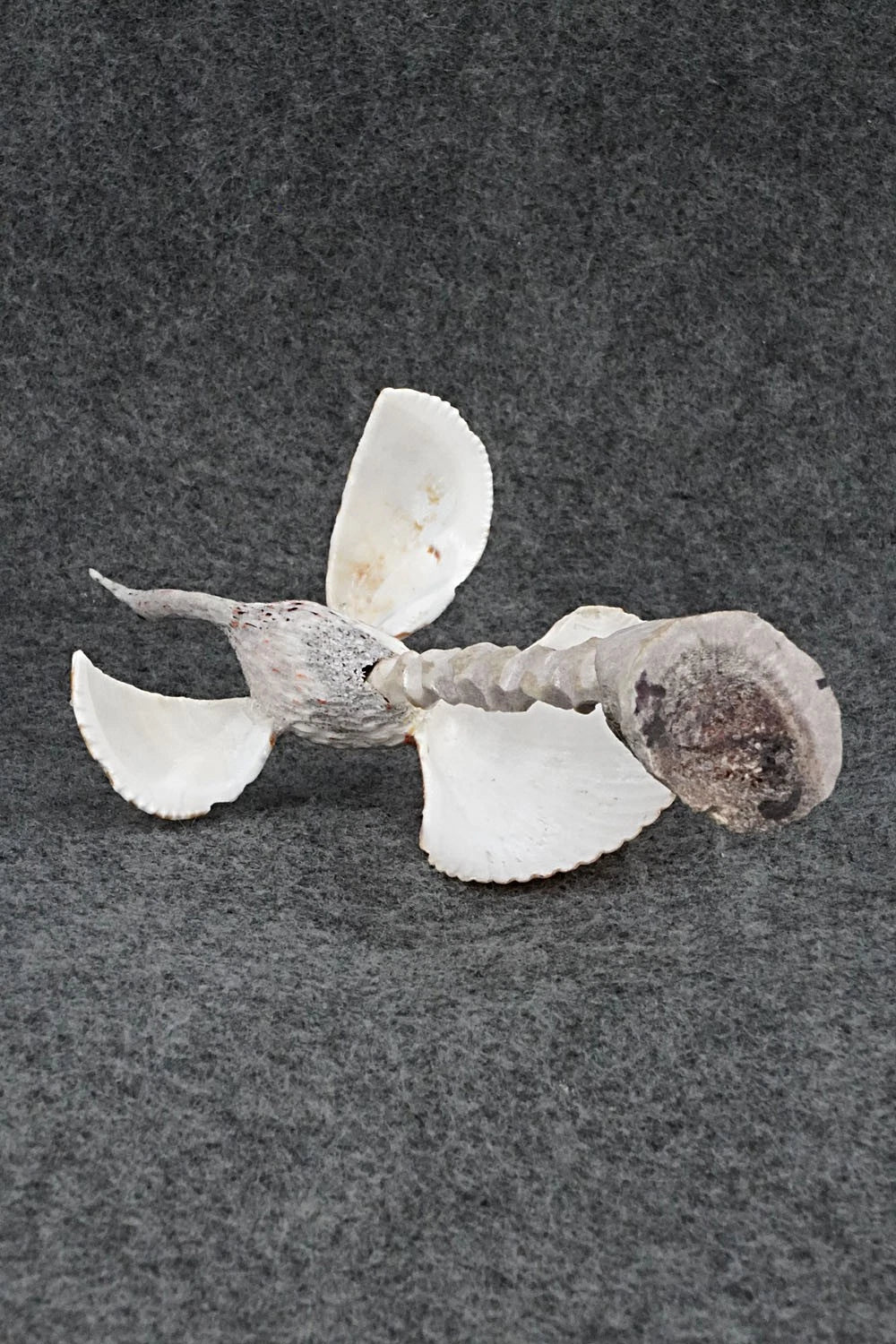 Sandhill Crane Zuni Fetish Carving - Ruben Najera