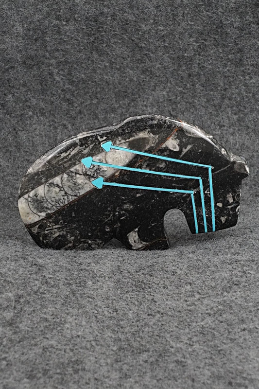 Bear Zuni Fetish Carving - Kenric Laiwakete