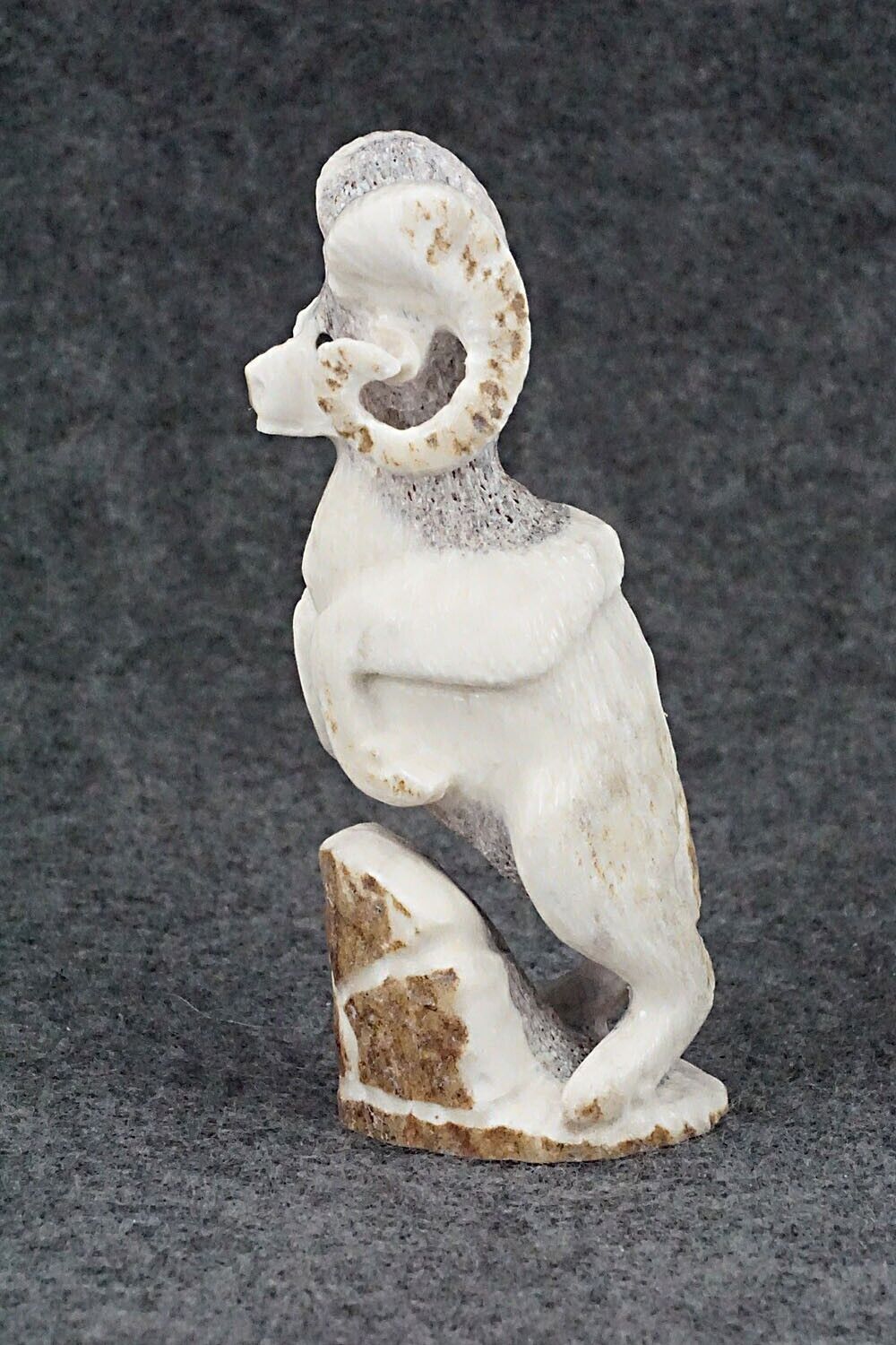 Ram Zuni Fetish Carving - Maxx Laate