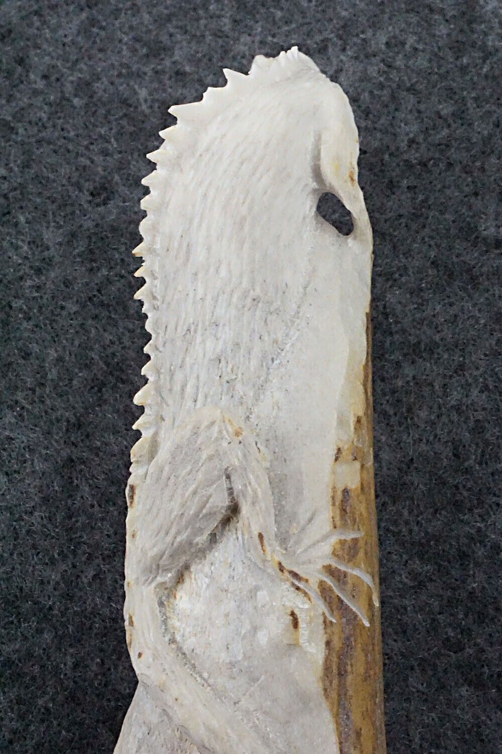 Iguana Zuni Fetish Carving - Lewis Malie Jr.