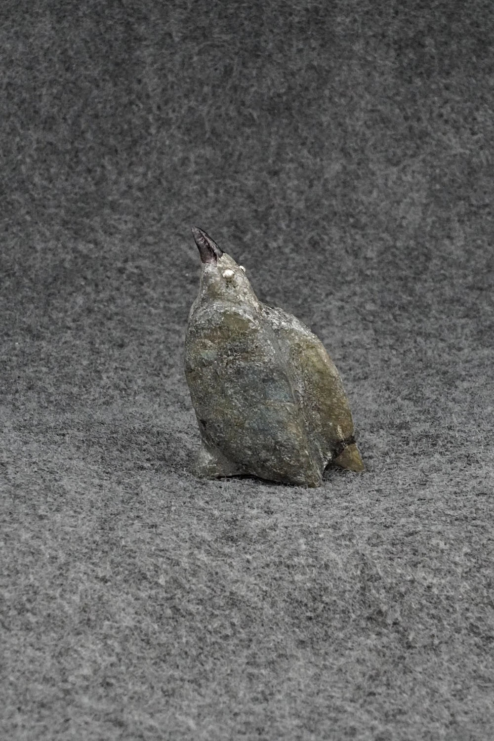 Bird Zuni Fetish Carving - Ruben Najera
