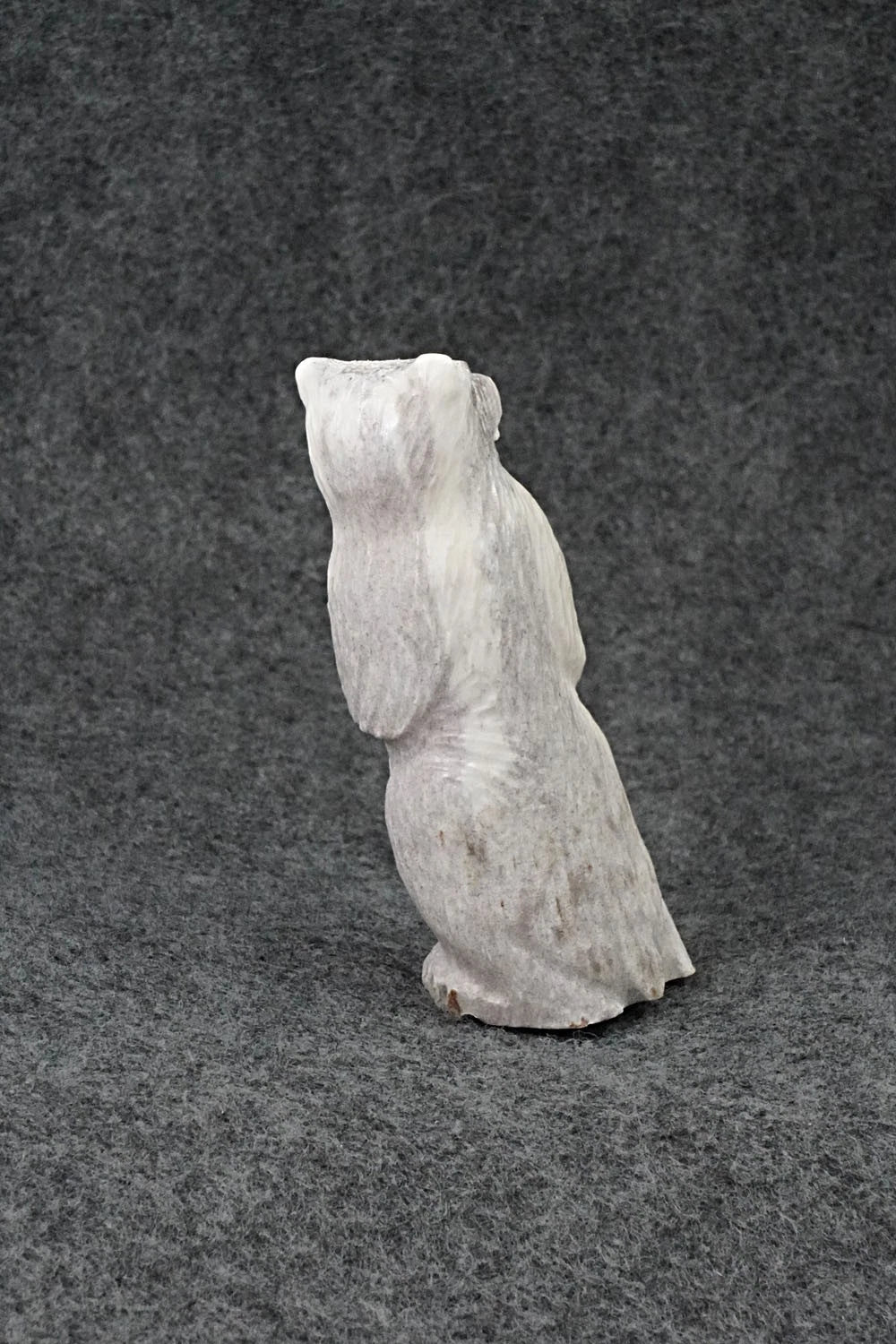 Bear Zuni Fetish Carving - Maxx Laate